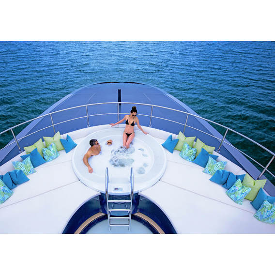 Переливной спа бассейн Delfi Spa Opera (рис.6) Переливной спа бассейн Delfi Spa Opera (рис.6)